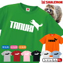 タヌキ Tシャツ アニマル 【 タヌキ ジャンプ 選べる8カラー 】緑の たぬき 狸 ぽんぽこ 動物園 おもしろ プレゼント 雑貨 グッズ 置物 信楽焼 ケーキ ぬいぐるみ 面白い シャレもん しゃれもん