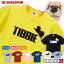 チベタンスパニエル おもしろtシャツ 【 選べる8色 Tシャツ チベタン・スパニエル ジャンプ 】 ティビー 勤行犬 鼻ぺちゃ Tシャツ メンズ レディース キッズ 雑貨 人気 シャレもん しゃれもん 2,420円