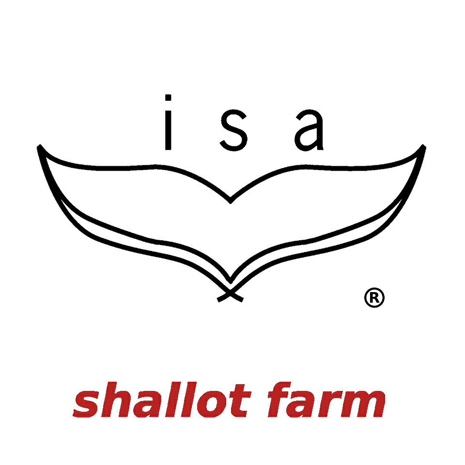 Shop icon