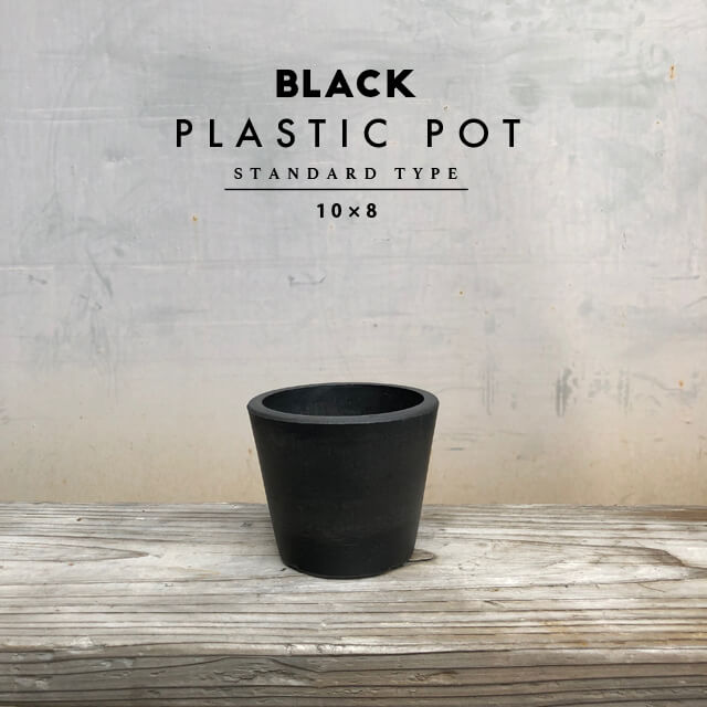 BLACK PLASTIC POTSTANDARD TYPE10cm8cm  ץȭ 3 4 ȭ ֥åݥå