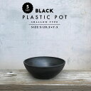 まとめ買い 黒 プラ鉢 ブラックポット シャロー shallow Plastic Pot 20.5cm×7.5cm Bowl Low ローポット 塊根 多肉 シンプル おしゃれ 厚い シティシャローボウル 浅型 丸い シャビー プラスチック 植木鉢 インダストリアル コーデックス caudex marvista greenship