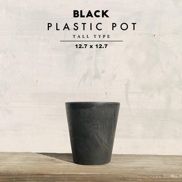BLACK PLASTIC POTS:12.7cm×12.7cm 黒 プラ鉢 4号 植木鉢 ブラックポット