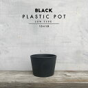 BLACK PLASTIC POT【LOW TYPE】15c