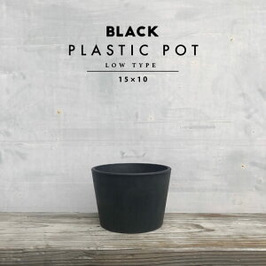BLACK PLASTIC POT【LOW TYPE】15cm×10cm 5号 黒 プラ鉢 植木鉢 ブラックポット