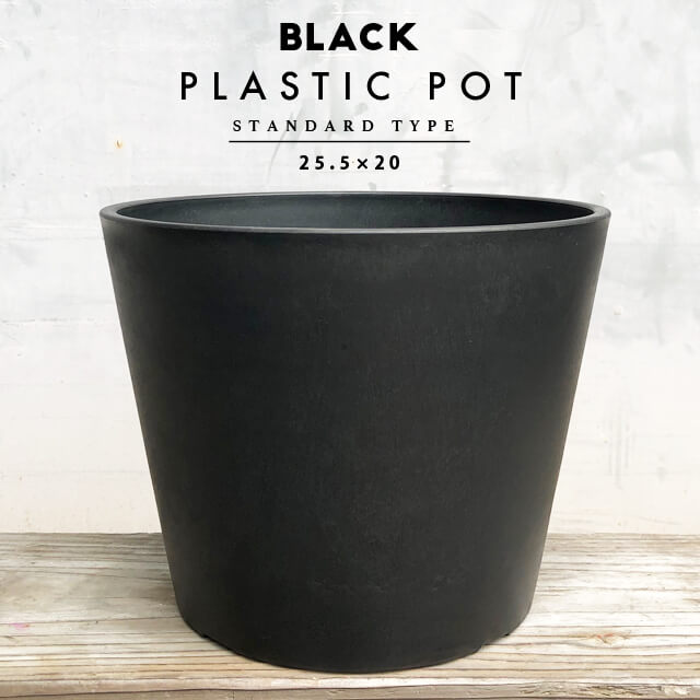 BLACK PLASTIC POTSTANDARD TYPE25.5cm20cm  ץȭ 8 ȭ ֥åݥåȡפ򸫤