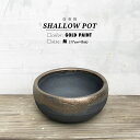 KAMIYAMAyʐ -M-zSHALLOW POT 17cm~8cm ݎR  My ꌊ傫 V[^Cv ~   ^  2119-12