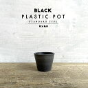 BLACK PLASTIC POT【STANDARD TYPE】8cm×6.5cm 黒 プラ鉢 3号 植木鉢 ブラックポット
