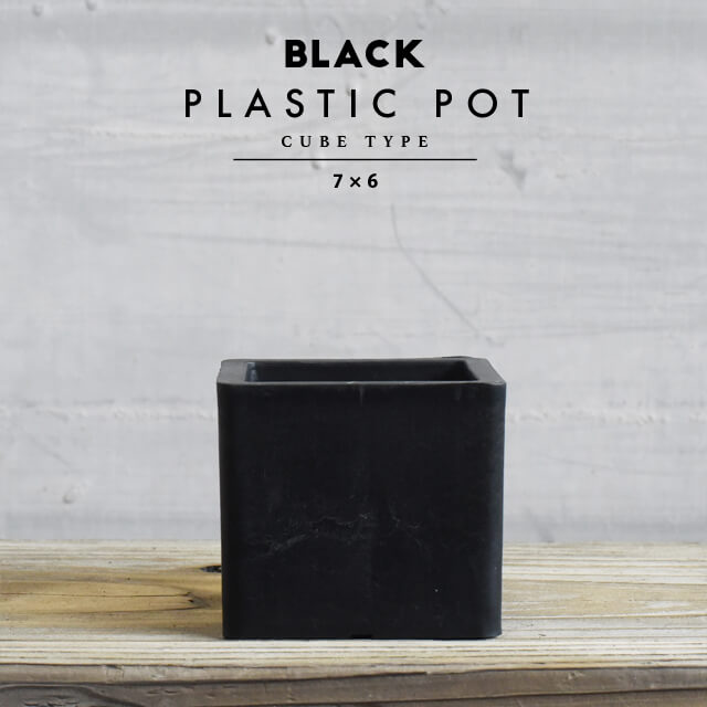 BLACK PLASTIC POTCUBE TYPE7.5cm6.5cm  ץȭ 3 ȭ ֥åݥå 塼 ͳ  