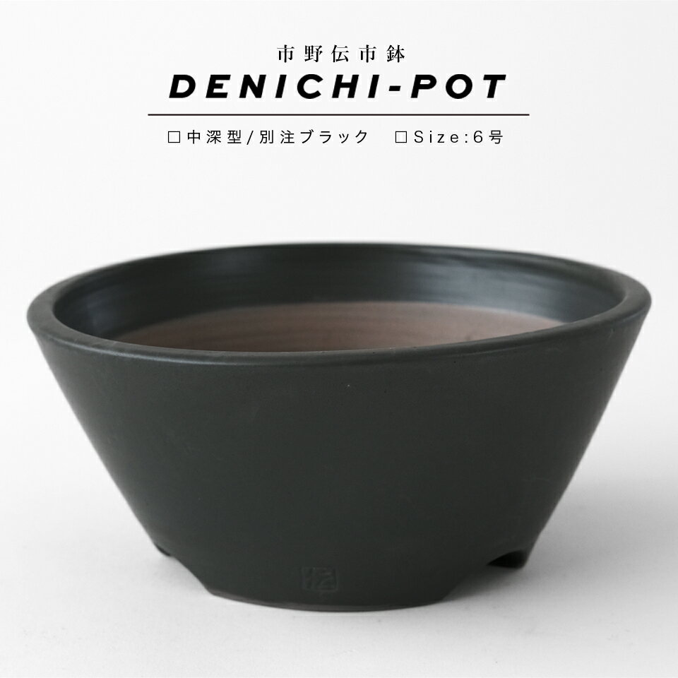 伝市鉢 中深型【ブラック】6号 φ18×H8cm 植木鉢 陶器 浅鉢 オールブラック 黒 おしゃれ かっこいい サボテン 塊根 多肉 山野草 底穴 大きい シンプル 高台 スタイリッシュ アガベ ブラックポット 浅型 ロータイプ 低い 厚い 水はけが良い BLACK