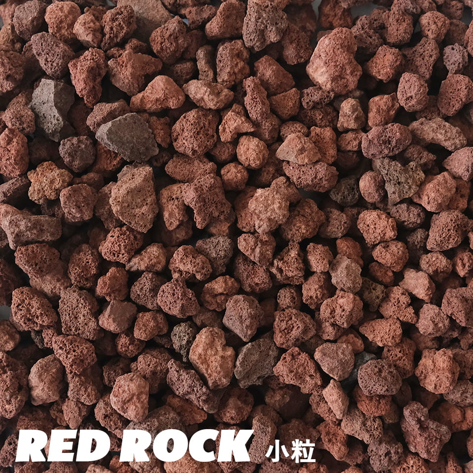 レッドロック 小粒 0.5L 化粧石 赤系溶岩石 スコリア 洗浄済 赤 茶色 アリゾナスタイル ドライガーデン ビオトープ アクアリウム マルチング 床石 サボテン アガベ 盆栽 少量 通気性 排水性 根腐れ防止 エクステリア アメリカ 鉄分 底砂 レッドロック 微塵なし