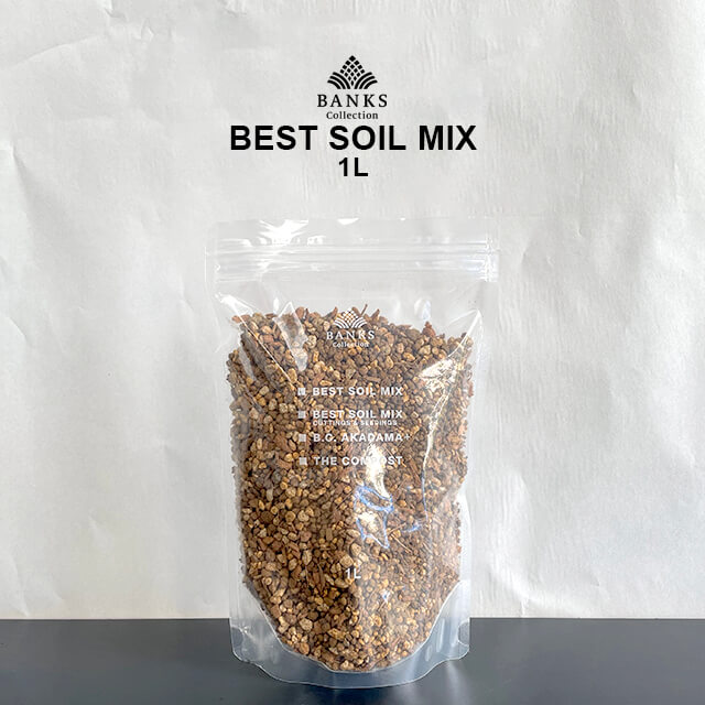 best soil mix 【1L】 ベストソイルミックス 虫がわきにくい有機質を抑えた培養土 バンクスコレクション 1リットル 培養土 硬質赤玉 多肉 観葉植物 塊根 サボテン プレミアム用土 お試し　少量 杉山拓巳 植え替え B.C. 室内用 屋外用 清潔 無機質のサムネイル