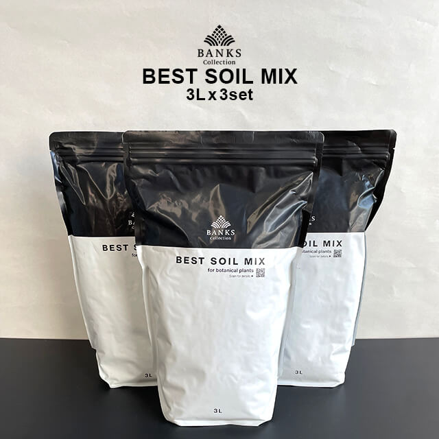 best soil mix 【3L】×3袋セット 送料無料 ベストソイルミックス 虫がわきにくい有機質を抑えた培養土 まとめ買い バンクスコレクション 9リットル 培養土 硬質赤玉 多肉 観葉植物 塊根 サボテン プレミアム用土 杉山拓巳 植え替え B.C. 室内用 屋外用 清潔 無機質