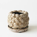 Bumpy 3号 直径10cm 植木鉢 陶器鉢 内径6cm 2号鉢カバー 受皿付 ブラウン ベージュ 観葉植物 アガベ 多肉植物 コーデックス サボテン ビザー...