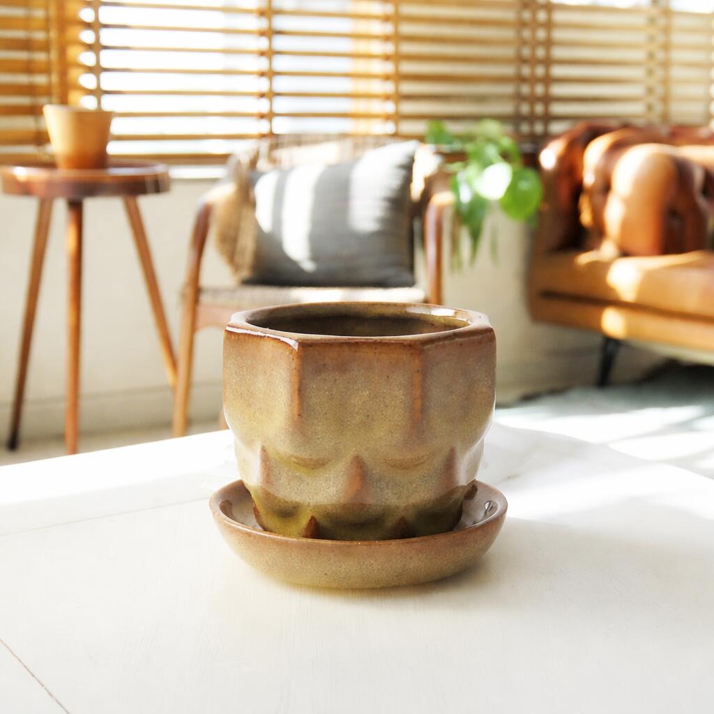 楽天市場】植木鉢 7.5cmの通販
