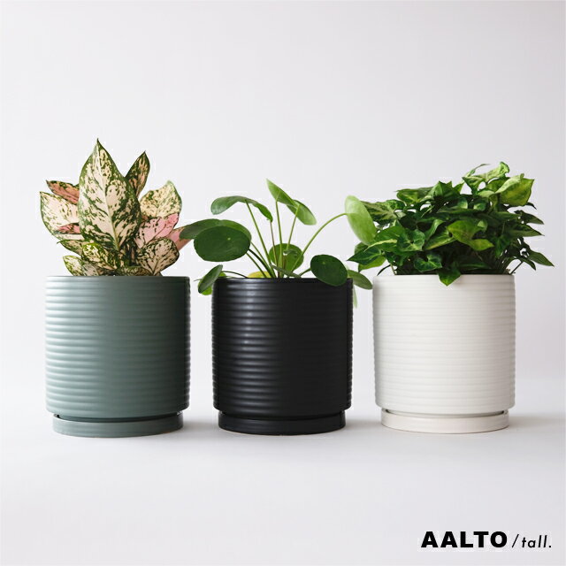 AALTO【 tall 】15cm×15cm 植木鉢 受皿付 5号 シンプル 陶器 北欧 筒型 シリンダー 長鉢 ボーダー マット 白 黒 緑 ミニマル おしゃれ シンプル トール ポトス ペペロミオイデス フィカス サボテン 多肉 観葉植物 インテリア 波形 tronco アアルト 室内 鉢カバー