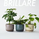 BRILLARE【 S 】11cm×8cm 植木鉢 受皿付 3号 シンプル 陶器 北欧 筒型 シリンダー 浅鉢 ツヤ 白 青 ピンク ミニマル くすみカラー カラフル おしゃれ シンプル ポトス ペペロミオイデス フィカス サボテン 多肉 観葉植物 インテリア tronco 室内 鉢カバー 小さい