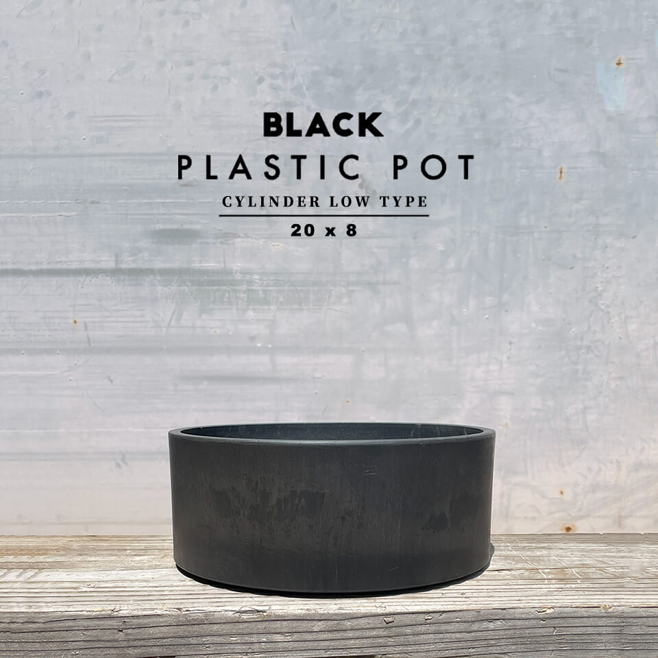 BLACK PLASTIC POT【CYLINDER LOW TYPE】20cm×8cm 黒 プラ鉢 7号 筒型 円筒 円柱 植木鉢 鉢カバー ロー