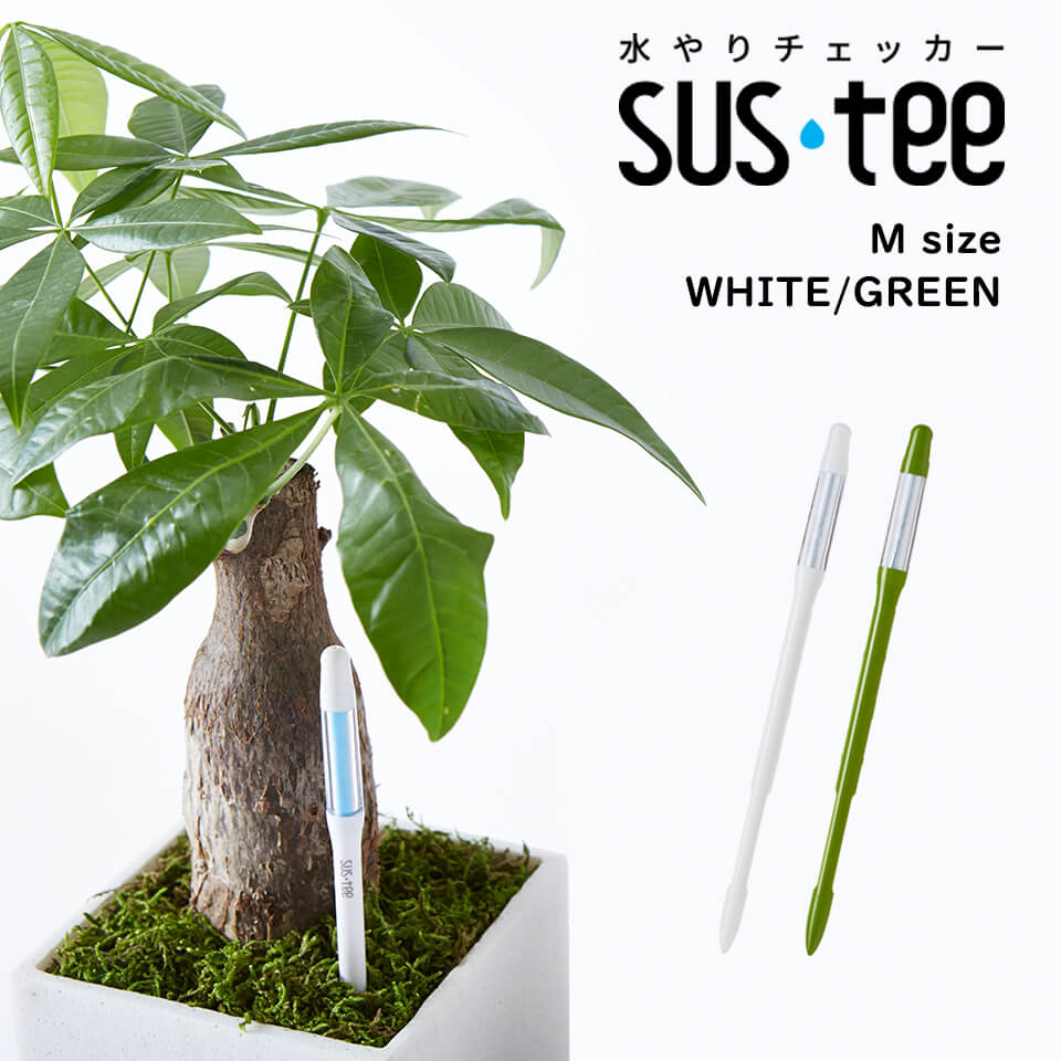 SUStee【Mサイズ】水やりチェッカー 選べる2カラーサスティー 水分計 ホワイト グリーン 白 緑 pF値 シンプル 簡単 植木鉢 園芸用品 アガベ 多肉 塊根 灌木 山野草 植物 園芸培土 バーク 水苔 ハイドロカルチャー ガーデニング おしゃれ かっこいい
