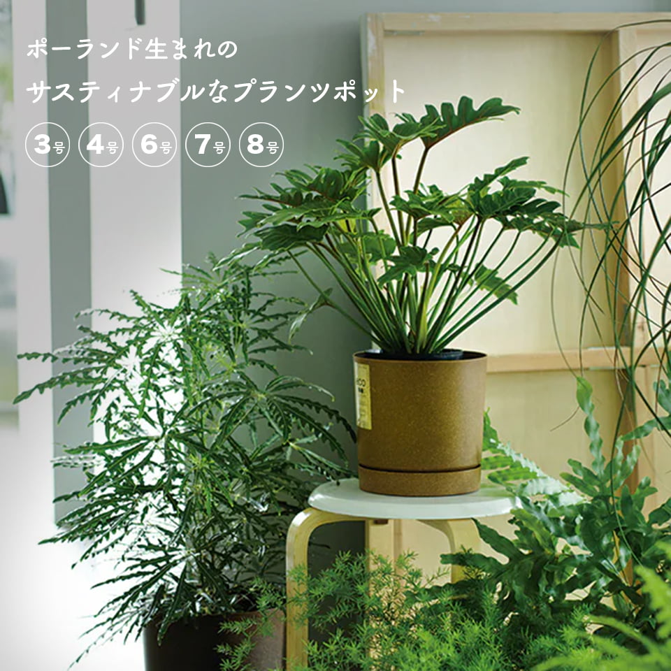楽天市場】筒状 植木鉢（花・ガーデン・DIY）の通販