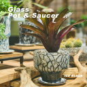 Glass Pot & Saucer ガラス 植木鉢 穴あり 白 クリア アルミソーサー シルバー 直径13cm 重量感 爽やか おしゃれ かっこいい 個性的 ライト キャンドル アガベ 多肉 観葉植物 コーデックス 室内 中が見える DGガラスポット&ソーサー ホワイエ ギフト ラッピング可