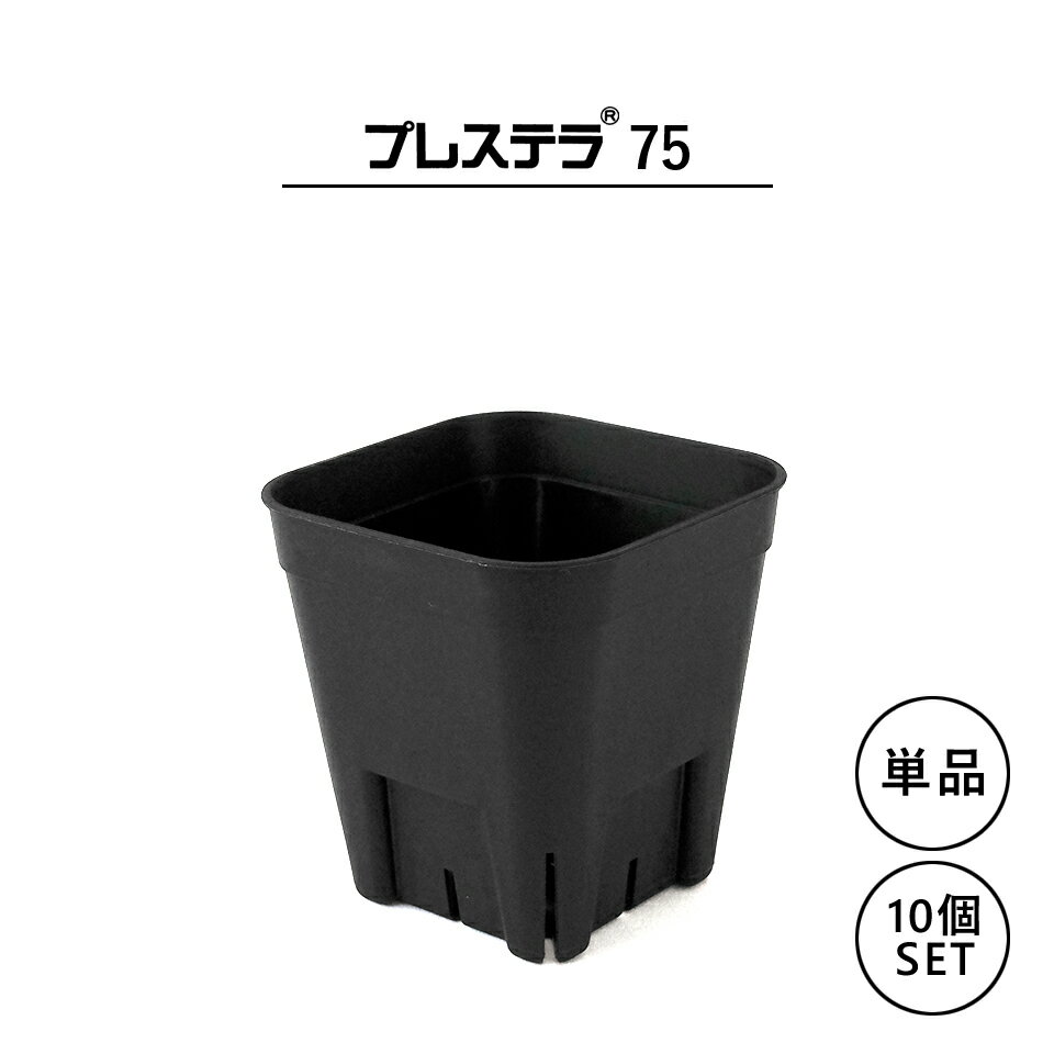 プレステラ【 75 】64mm×57mm 2.5号 単品 セット 黒 ブラック 長鉢 プラ鉢 育成 育苗 アガベ 塊根 多肉 直根性 挿しラベル対応 スリット 水はけ 通気性 四角 シンプル 軽量 薄い プラスチック 植木鉢 コンパクト 小さい おしゃれ かっこいい blackpot