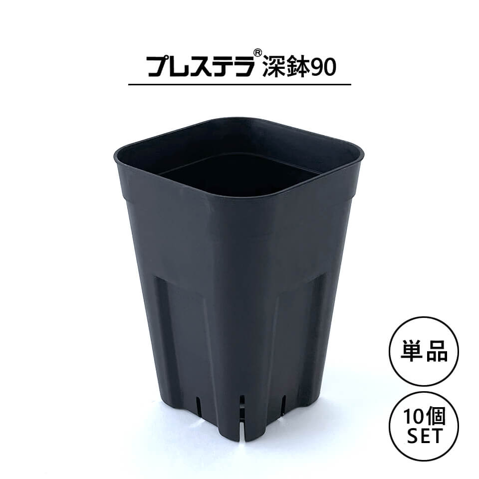 プレステラ深鉢【 90 】78mm×112mm 2.5号 3号 単品 セット 黒 ブラック 長鉢 プラ鉢 育成 育苗 アガベ 塊根 多肉 直根性 挿しラベル対応 スリット 水はけ 通気性 四角 シンプル 軽量 薄い プラスチック 植木鉢 コンパクト 小さい おしゃれ かっこいい