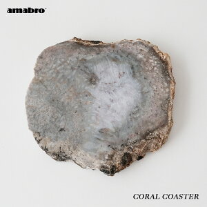 【個体が選べる】CORAL COASTER amabro 珊瑚 化石 コーラル 天然石 コースター 示相化石 鉱物 アクセサリートレイ 小物置き グレー 台座 受け皿 一点物 個性的 鉢台 鉢皿 花台 お香立て 香皿 鍋敷き 天然石 おしゃれ アマブロ