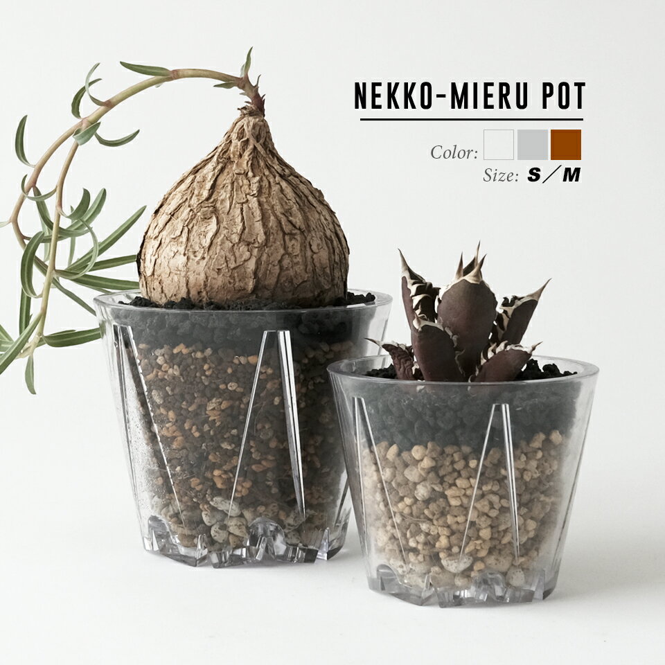 NEKKO-MIERU POTS3桦M4 ۺ Ʃ ȭ åȭ ꥢ ץȭ Ū SCOOP ꥹ ...