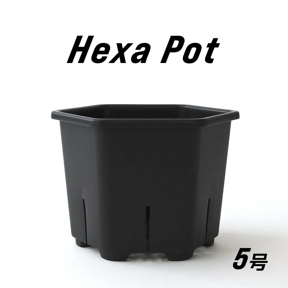 Hexa Pot 5号 植木鉢 スリット鉢 サークリング防止 通気性 排水性 効率性 根の健康 作業性 アガベ 塊根植物 コーデックス サボテン 多肉植物 観葉植物 アロエ アロイド ブラック スタイリッシュ シンプル おしゃれ かっこいい 黒 プラ鉢 ヘキサポット