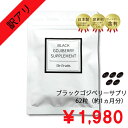 【特別価格 1980円 賞味期限2024年3月末】ブラックゴジベリーサプリメント 黒枸杞 黒クコ クコの実 サプリ サプリメント スマホ パソコン 目 眼 疲れ アントシアニン 女性 紫外線 ビタミン