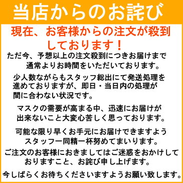 【在庫あり】マスク 白 1袋50枚 不織布3層フィルターマスク　大人用 男女兼用 使い捨て レギュラーサイズ 対策 99％カット 風邪 花粉 細菌