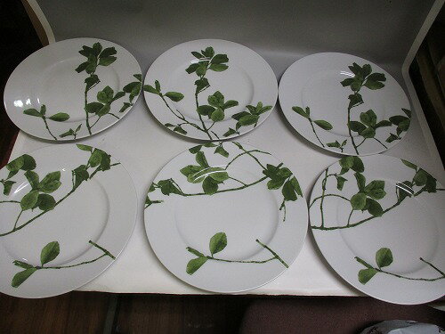 26★ドイツ Rehsfeld/レングスフェルド「ジャパニーズガーデン」 26cmプレート 6枚セット 新入荷【中古】