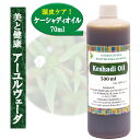 【 ケーシャディオイル 500ml】ヘアケアオイル スカルプマッサージ頭皮ケア 抜け毛 切れ毛 白髪 増毛 艶アーユルヴェーダオイル 100%天然 薬草オイル ヘッドスパ 無添加 業務用オイル ヘッドマッサージ アロマ