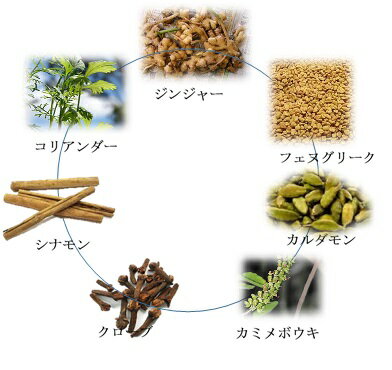 【薬膳スパイスティー】カパティー100g ハーバルリーフの健康茶 重い心とカラダを軽くする アーユルヴェーダのハーブティ 薬草茶自然療法で美容と健康に!ハーバルティー 2