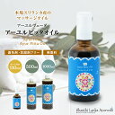 【ピッタオイル 110ml 500ml 1000ml】ボディケア マッサージオイル ほてり 乾燥肌 柔軟な肌保湿 潤い 張り アロマオイル 香り 薬効アーユルヴェーダ ボディオイル 薬草 ごま油 付属ポンプヘッド別売古典 伝統 代替医療