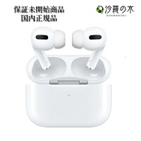 保証未開始品 AirPods Pro MWP22J/A 国内正規品 新品 アップル ワイヤレスイヤホン