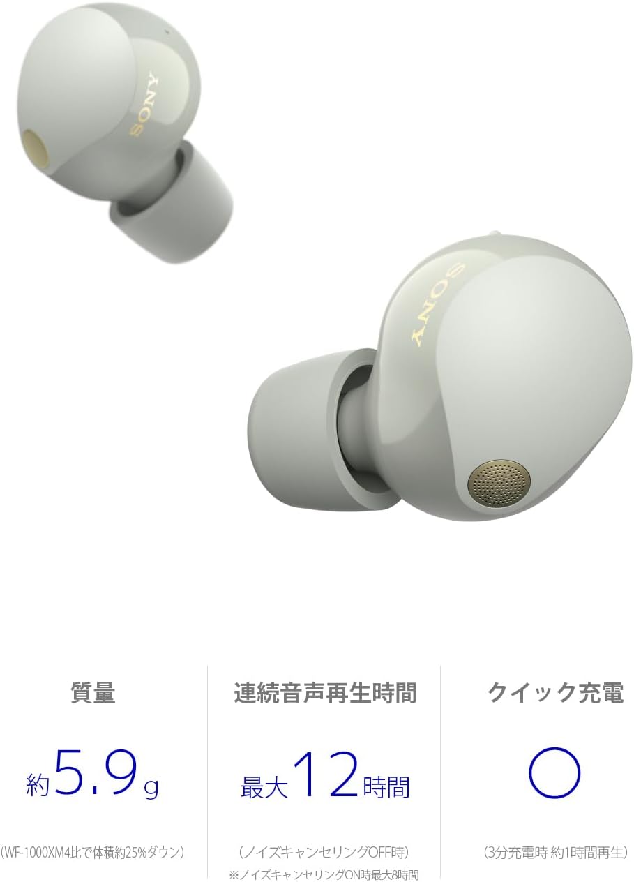 WF-1000XM5 (S) [プラチナシルバー]