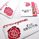 母の日ギフト ポチ袋 母の日 現金 ユニークポチ袋 ご祝儀袋 お小遣い かわいい ぽち袋 子ども キッズ お楽しみ おたのしみ ギフト プチギフト