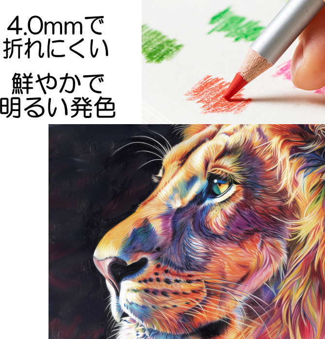 色鉛筆 72色セット 油彩 色鉛筆 Dmast 油性 色鉛筆 カラーペンセット イラスト デザイン 落書き 入学お祝い プレゼント share-store-10047777 最新トレンド靴 SHARE サンプル画像2