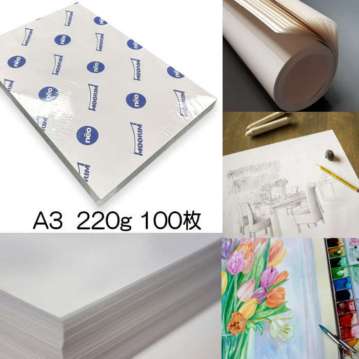 Rakuten - ケント紙 A3 100枚 220g 紙 スケッチ アート 絵画 デッサン 画材 描画 画用紙