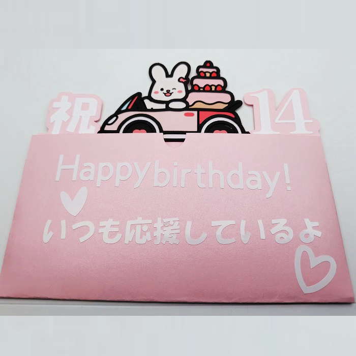 ぽち袋 ユニークポチ袋 誕生日 現金袋 祝儀袋 誕生日 記念日 お小遣い かわいい ぽち袋 ご祝儀袋