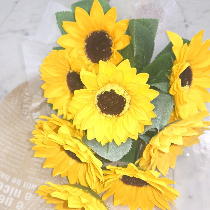 ����� �����ץե� ��« �Ҥޤ�� 10�� ��« ����� ����ܥ�ե� �����ץե� ���ե�