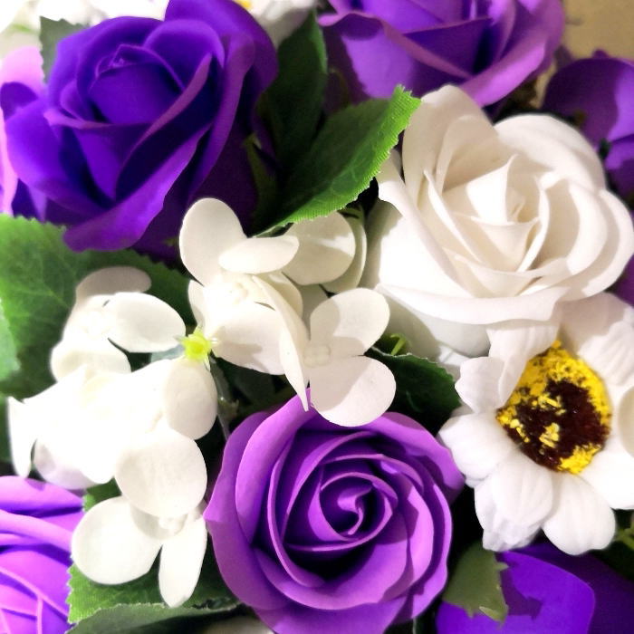 �����ץե� �֤��� 20�ܥ����� �� ���եȥե����եȡ��ե��Х����å�