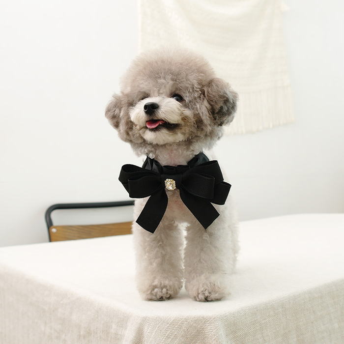 ペット用チョーカー ネックアクセサリー ペット用リボン ペット用アクセサリー おしゃれ 犬用リボン 愛犬 犬猫グッズのサムネイル