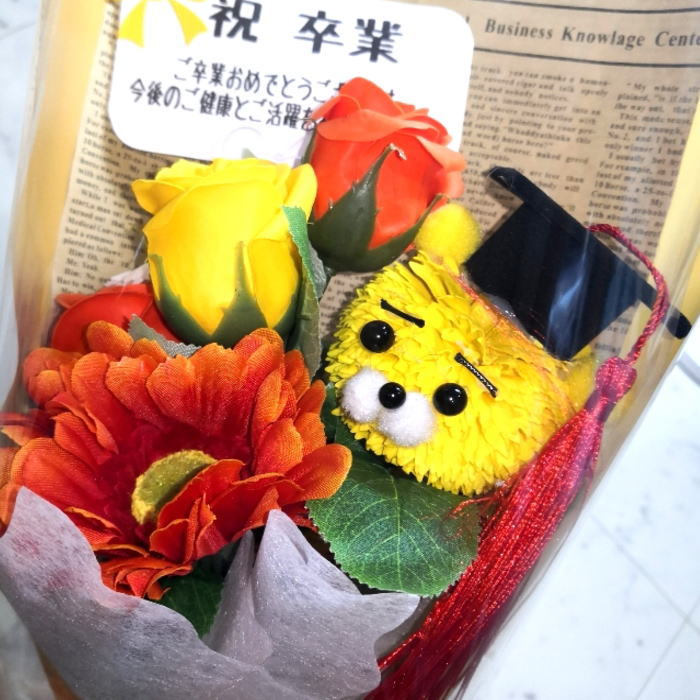 ´�� ��« �����ץե� �� ��« 6�� ����� ����ܥ�ե� �����ץե� ���ե�