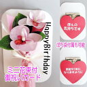 花束付カード 胡蝶蘭 ブーケ ミニブーケ メッセージカード ブーケ型 メッセージカード ぽち袋 ユニークぽち袋花 カード ギフト お誕生日 プレゼント 女性 男...