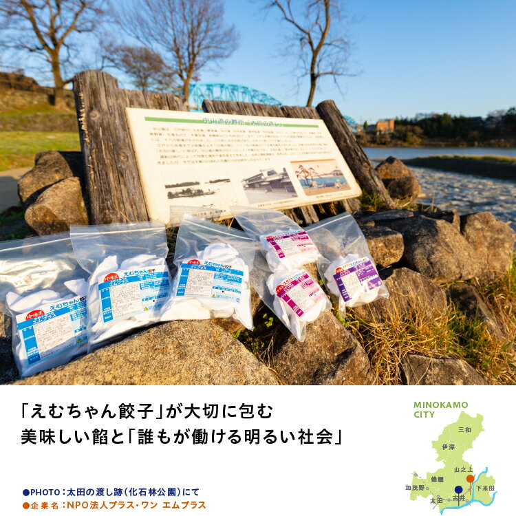 えむちゃん餃子 食べ比べセット（餃子105個入）ぎょうざ ギョウザ 冷凍餃子 冷凍食品 おつまみ おかず 惣菜 中華惣菜 中華 お弁当 送料無料 39ショップ