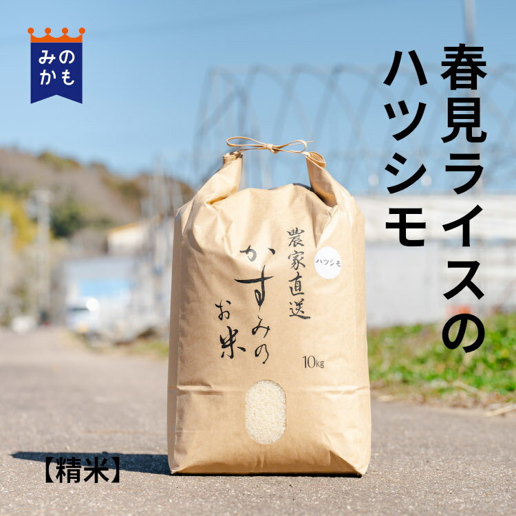 岐阜県産ハツシモ精米 大粒 白米 寿司米 冷めても美味しい 幻の米 岐阜県産 ハツシモ 農家直送 おにぎり 39ショップ 送料無料 お米 お弁当 3kg 5kg10kg