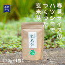 玄米茶 70g 1袋 白川茶 美濃白川茶 春摘み 一番茶 ハツシモ玄米 焙煎米 高品質 春見ライス 茶蔵園 美濃加茂 東白川 温茶 冷茶 国産 岐..