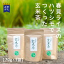 玄米茶 70g×3袋 白川茶 美濃白川茶 春摘み 一番茶 ハツシモ玄米 焙煎米 高品質 春見ライス 茶蔵園 美濃加茂 東白川 温茶 冷茶 国産 岐阜県 送料無料 お中元